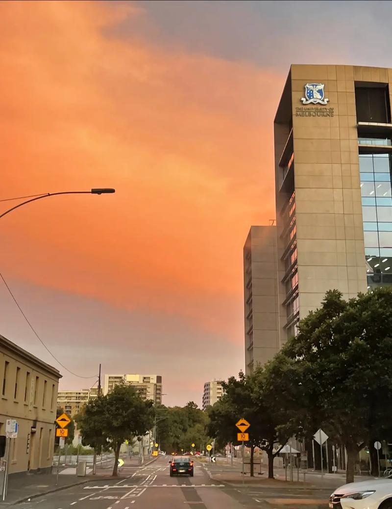 东京医科齿科大学